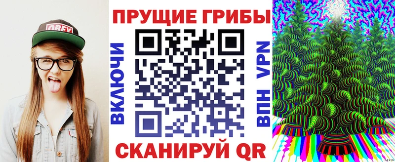 Галлюциногенные грибы Psilocybe  Купить закладки  Макарьев 
