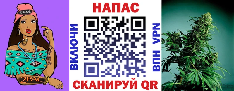 Купить где  Макарьев  Канабис индика 